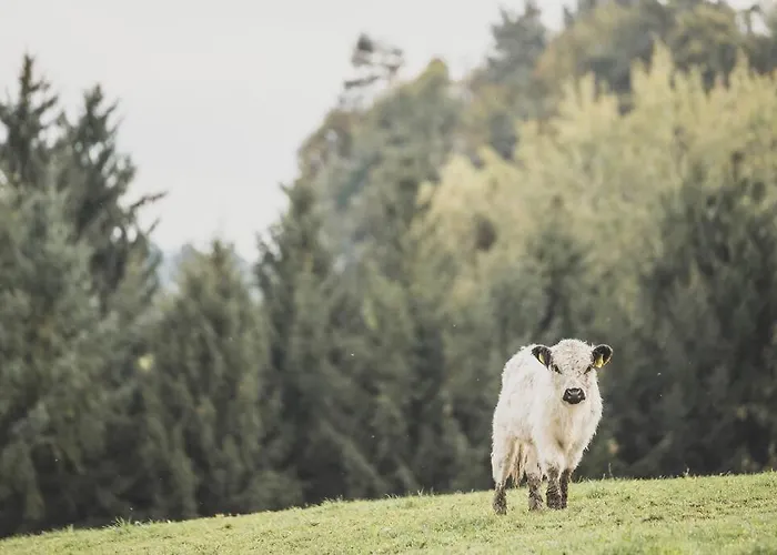 Garnecker Galloways Lejlighed