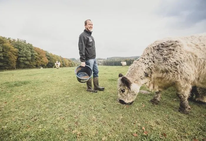 Garnecker Galloways Lejlighed *